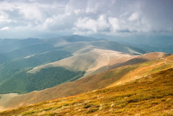 Beautiful Blue Sky Dry Grass High Carpathian Mountains — Stock Photo, Image