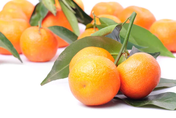 Mandarinas aisladas en blanco —  Fotos de Stock
