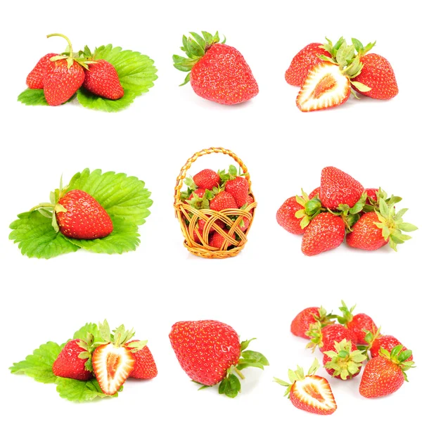 Strawberries isolated — Stock Photo, Image