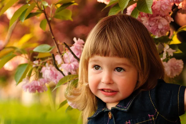 Маленька дівчинка в саду — стокове фото