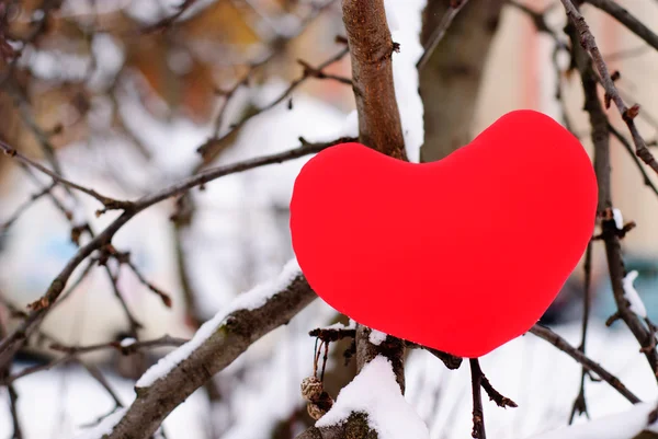 Cuore rosso su albero di neve — Foto Stock