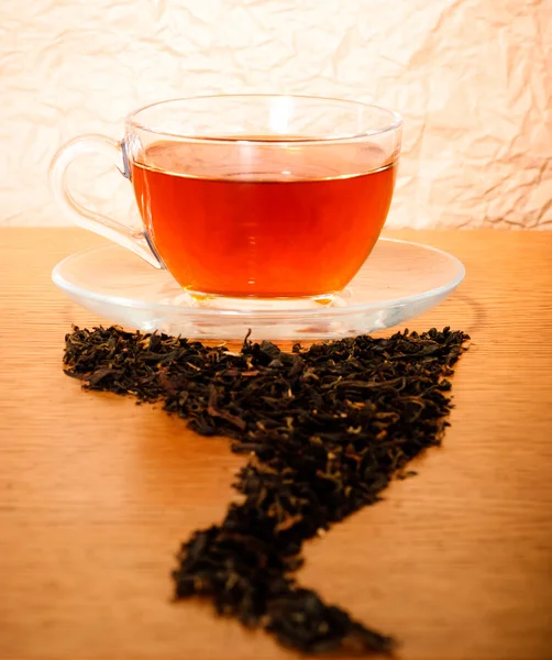Xícara de chá com folhas secas ted — Fotografia de Stock