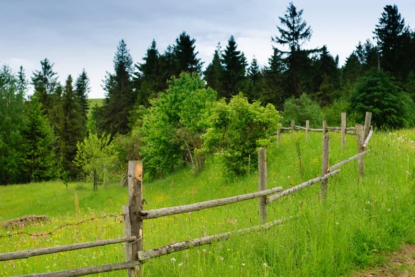 Rural landscape with road and fence — Stock Photo, Image