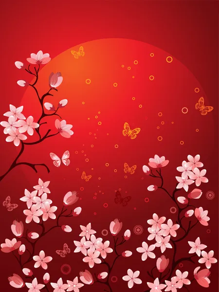 Sakura çiçekleri — Stok Vektör