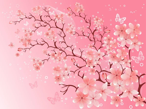 Cherry Blossom Vektor Illustration — Stock vektor