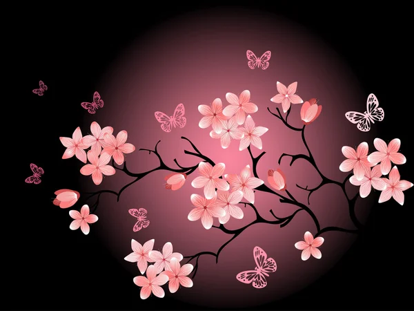 Fleur de cerisier, fond noir — Image vectorielle