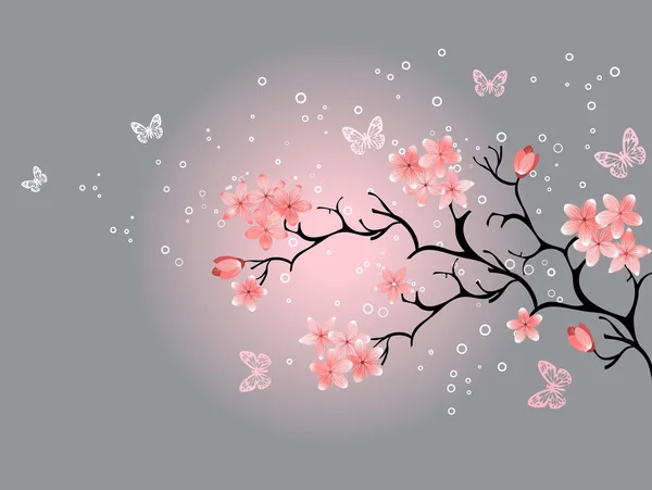 Kirschblüte, grauer Hintergrund — Stockvektor
