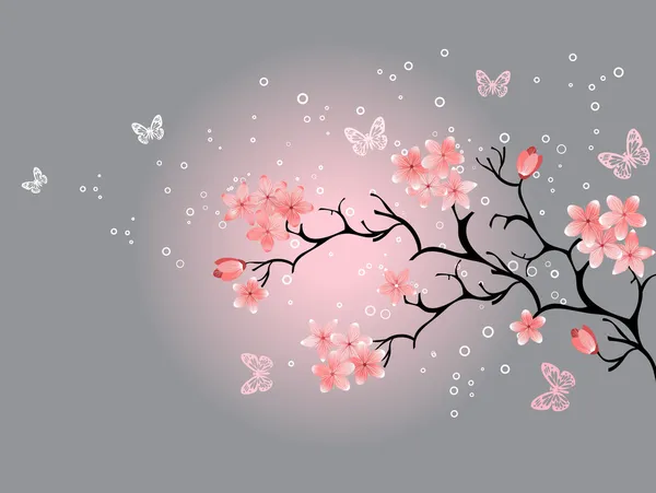 樱花盛开，灰色背景 — 图库矢量图片#