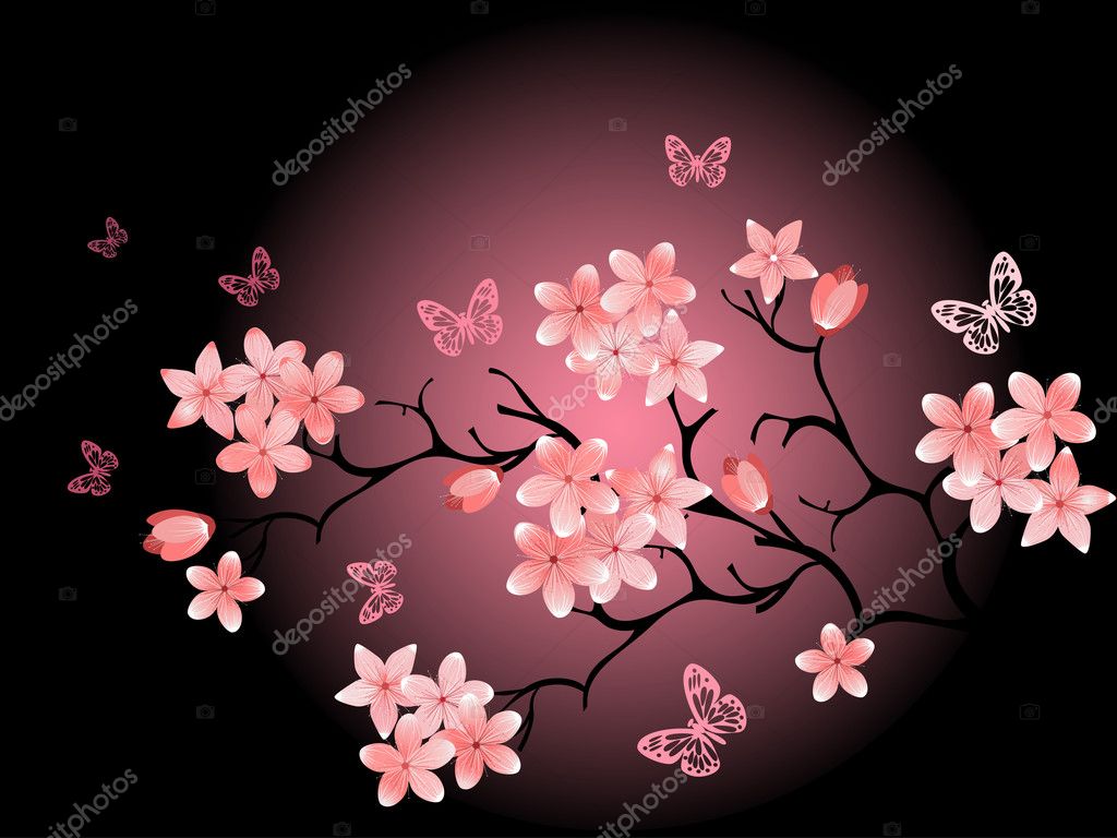 Cherry blossom, black background Stock Vector Image by ©ishmel #5062494