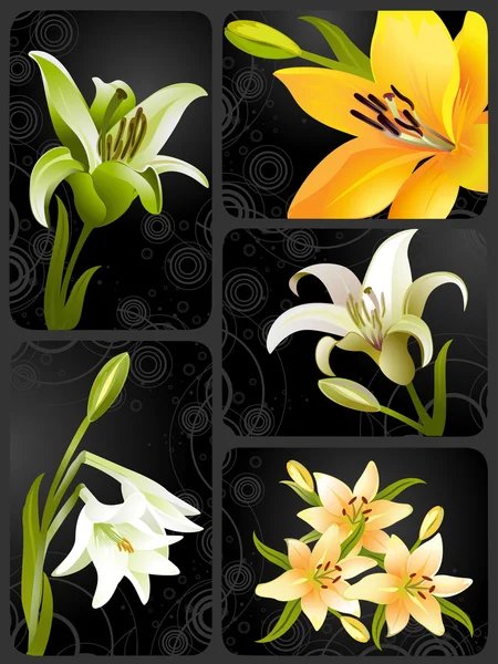 Lily set, vector grunge floral background — Stock Vector