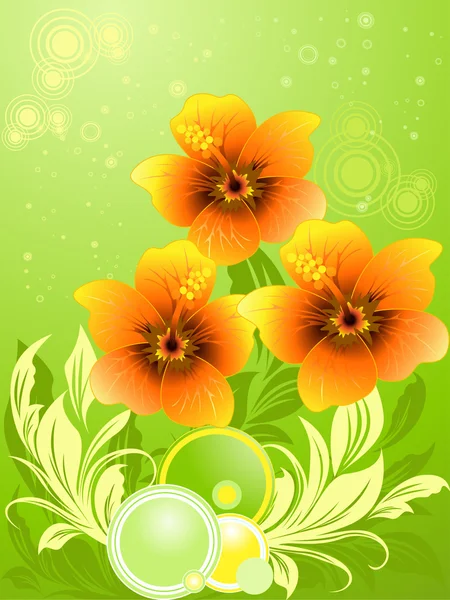 Ilustración vectorial de la composición veraniega con hibisco naranja — Archivo Imágenes Vectoriales