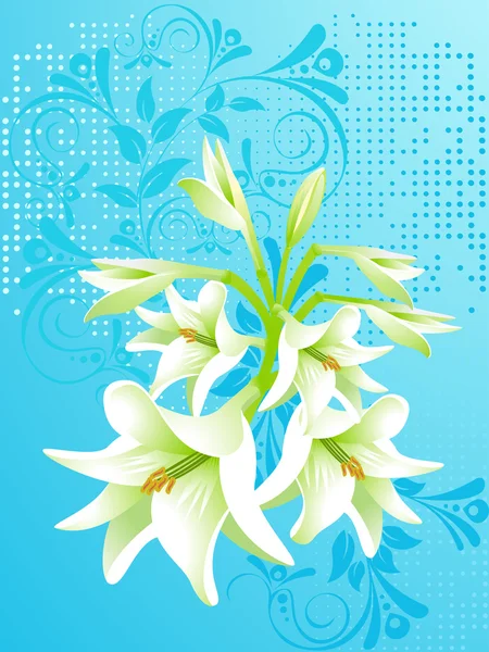 Fondo floral vectorial, lirio blanco — Vector de stock