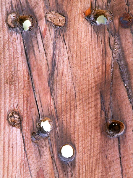 Hål i trä staket — Stockfoto