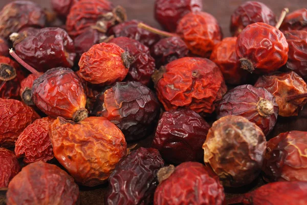 stock image Dried berries of a dogrose