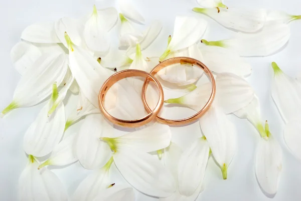 Rings and flowers — Stock Photo, Image