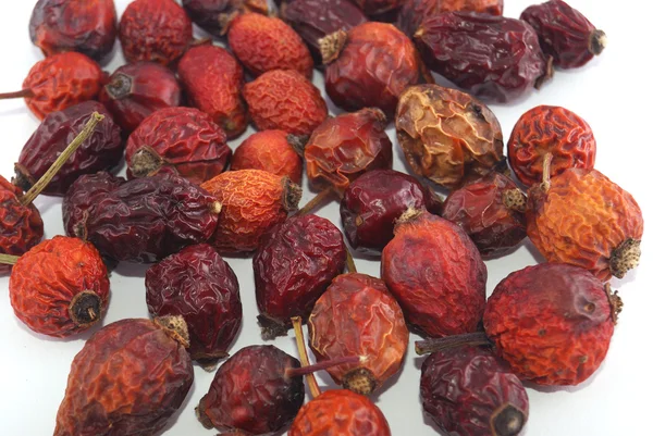 stock image Dried berries of a dogrose