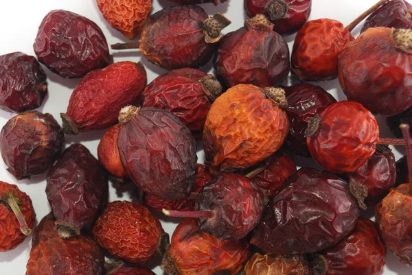 stock image Dried berries of a dogrose