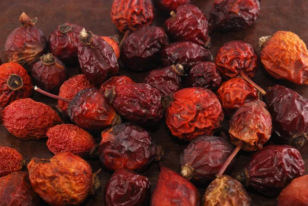 stock image Dried berries of a dogrose