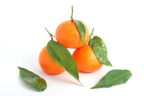 Stock image Tangerine