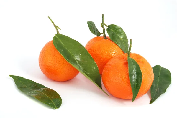 stock image Tangerine