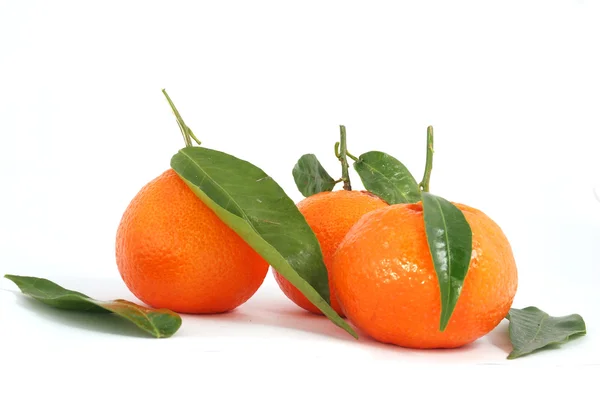 stock image Tangerine