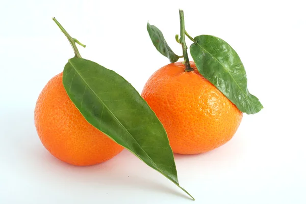 stock image Tangerine