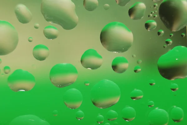 Gotas no verde — Fotografia de Stock
