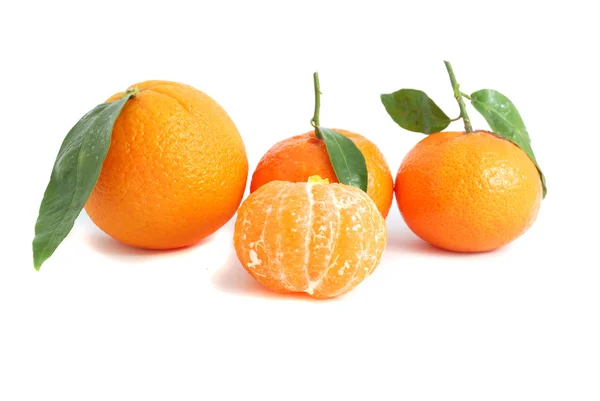 stock image Tangerine