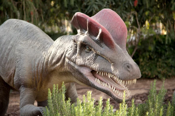 Dinoszaurusz Stock Kép