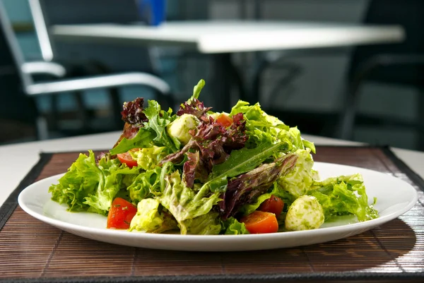 Salada com mussarela e tomate cereja — Fotografia de Stock