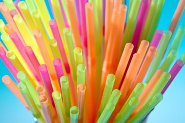 çok renkli esnek Uçan kuştan cam portre