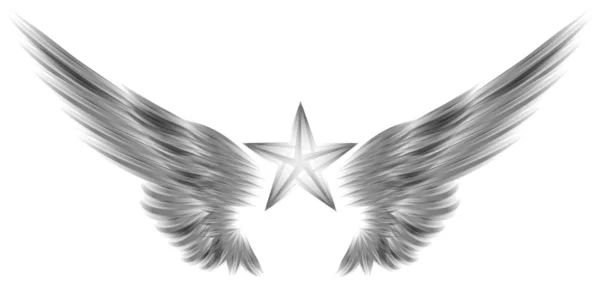 Isolierter Flügel und Stern auf weißem Hintergrund — Stockfoto