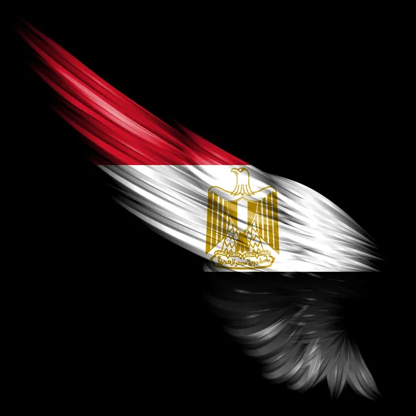 黒の背景にエジプトの国旗と抽象的な翼 — ストック写真