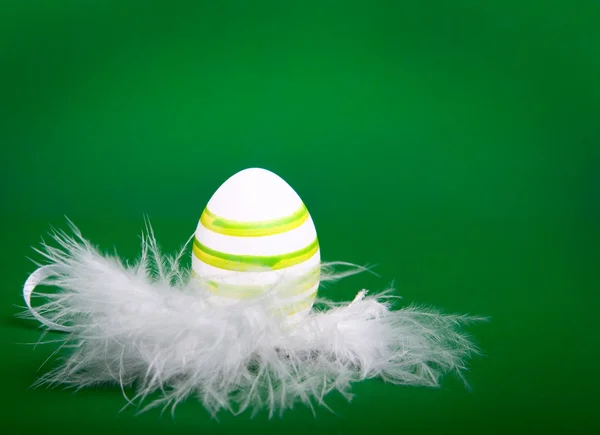 Easter egg in white feathers nest — Stock Photo, Image