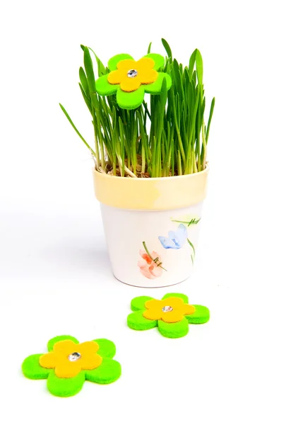 Flowerpot with green grass — Stock Photo, Image