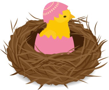 Chicken in nest clipart