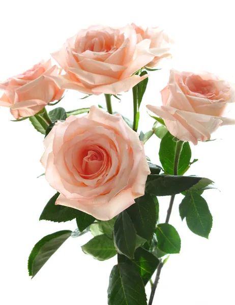 Indah karangan bunga mawar merah muda — Stok Foto
