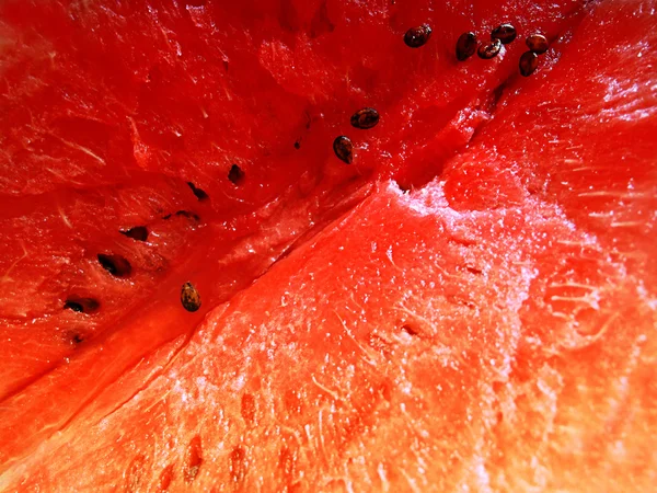 Vattenmelon närbild bakgrund — Stockfoto