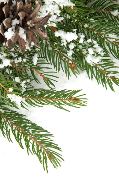 Weihnachtsrahmen mit Schnee und Tannenzapfen — Stockfoto
