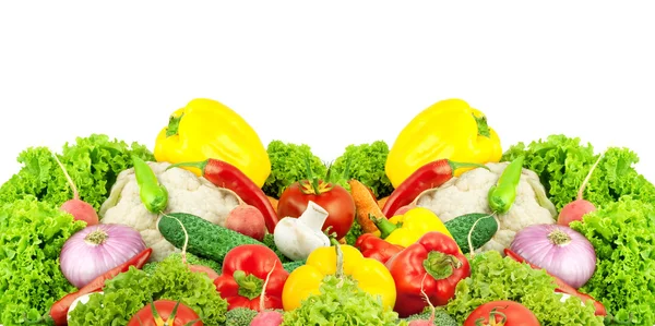 Variedad de verduras frescas — Foto de Stock