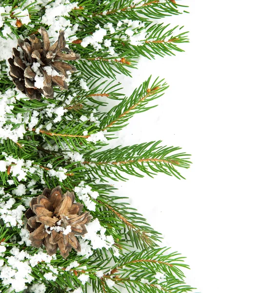 Vánoční rámec s sněhu a kužely — Stock fotografie