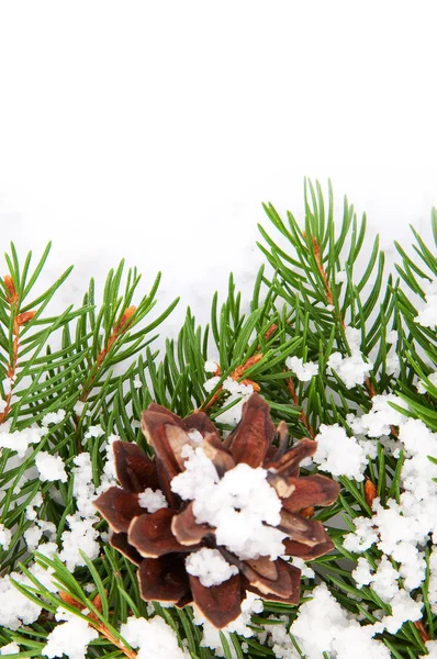 Marco de Navidad con nieve y conos —  Fotos de Stock