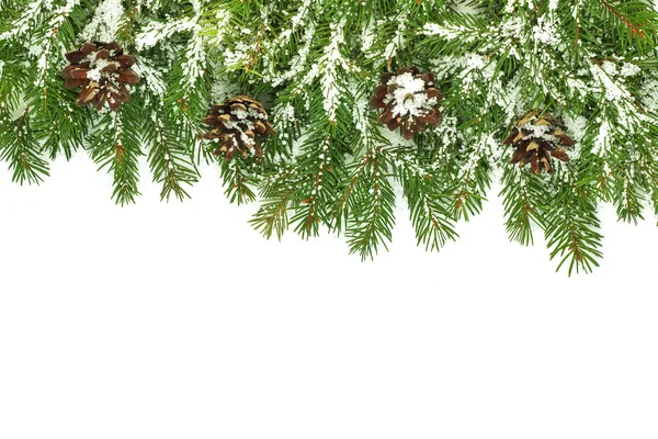Рождественская рама со снегом и шишками — стоковое фото