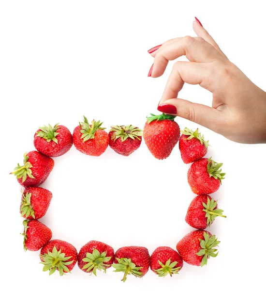 손에 있는 딸기 — 스톡 사진