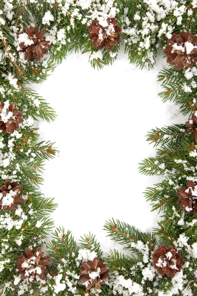 Quadro de Natal com neve e cones — Fotografia de Stock