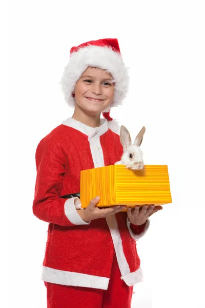 Menino segurando um coelho de Natal — Fotografia de Stock