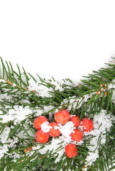 Quadro di Natale con neve — Foto Stock