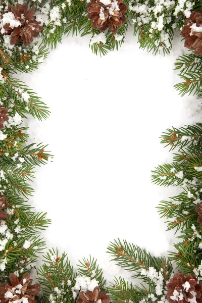 Kar ve koniler ile Noel çerçeve — Stok fotoğraf