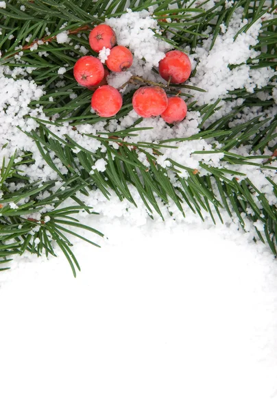 Weihnachtsrahmen mit Schnee — Stockfoto