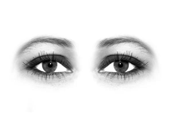 Beautiful eye in macro — Stock Photo, Image